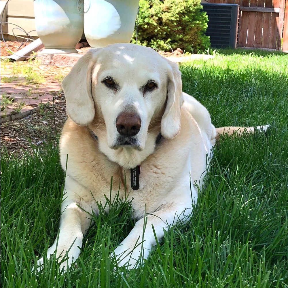 🌈05/10/2020 to 05/09/2024 Buddy